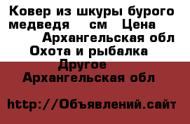 Ковер из шкуры бурого медведя 190см › Цена ­ 60 000 - Архангельская обл. Охота и рыбалка » Другое   . Архангельская обл.